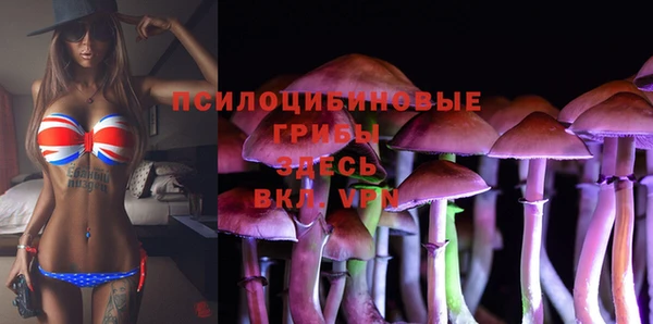 прущие грибы Осинники