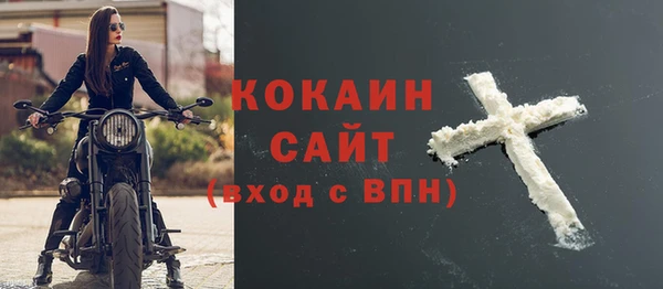 трава Няндома