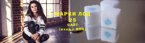 прущие грибы Осинники