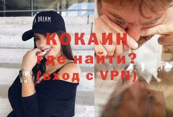 прущие грибы Осинники