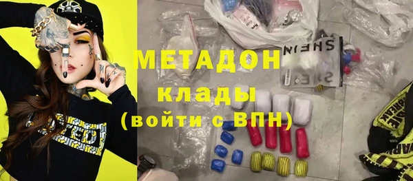 прущие грибы Осинники