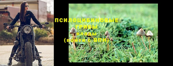spice Остров