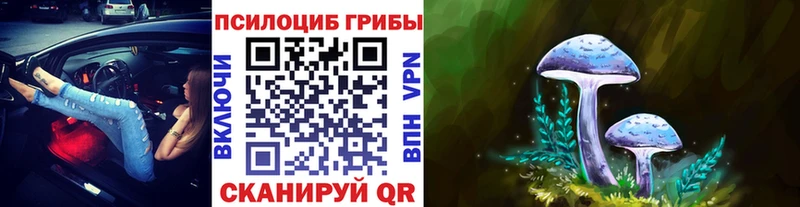 Купить закладки  Краснокаменск  Псилоцибиновые грибы Cubensis 